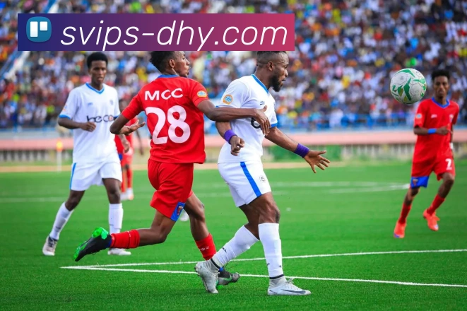 大红鹰官网发展历程